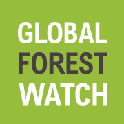 Портал открытых данных Global Forest Watch